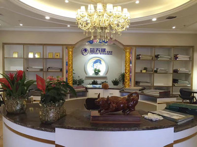 硅藻泥加盟新篇章 浙江紹興藍(lán)天豚旗艦店盛大開業(yè)引領(lǐng)家居環(huán)保潮流